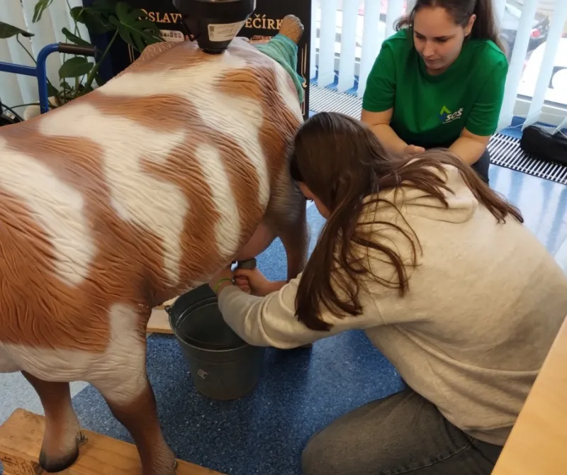 IMG_20250226_084351262