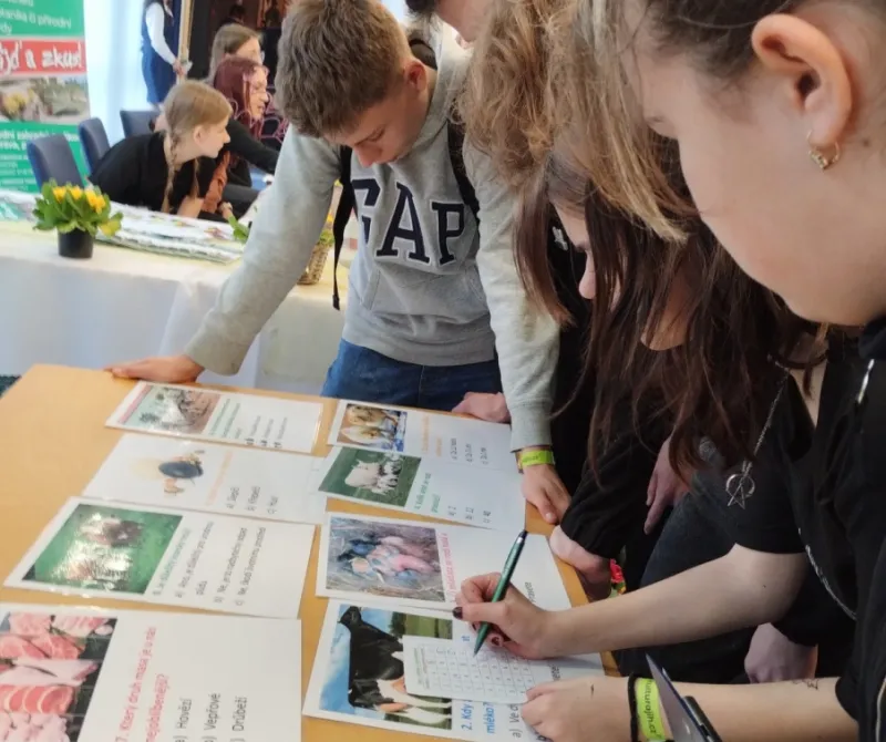 IMG_20250226_084405645