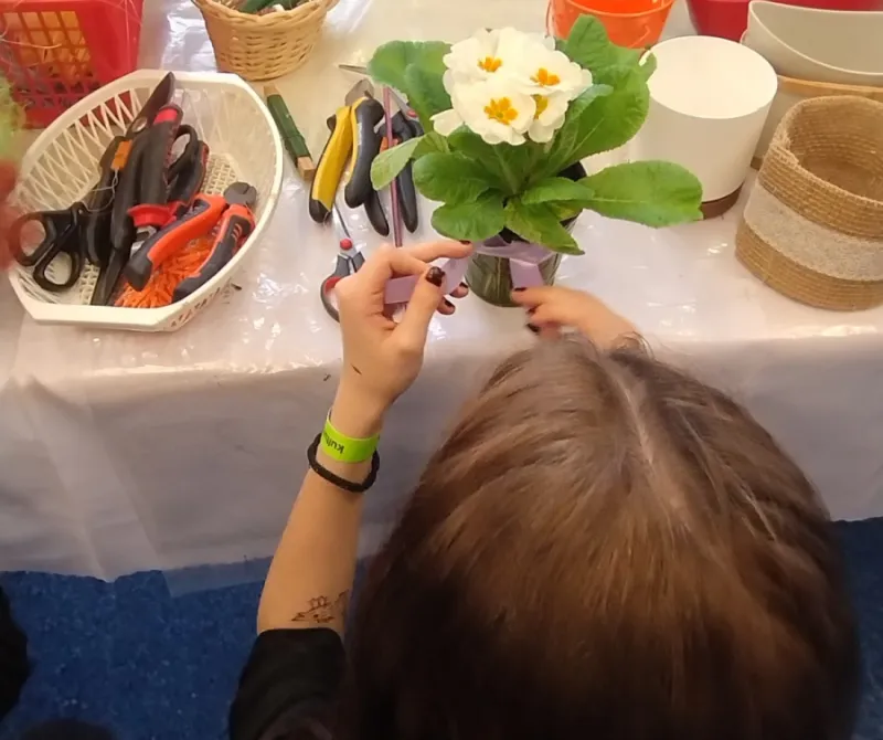 IMG_20250226_085202233