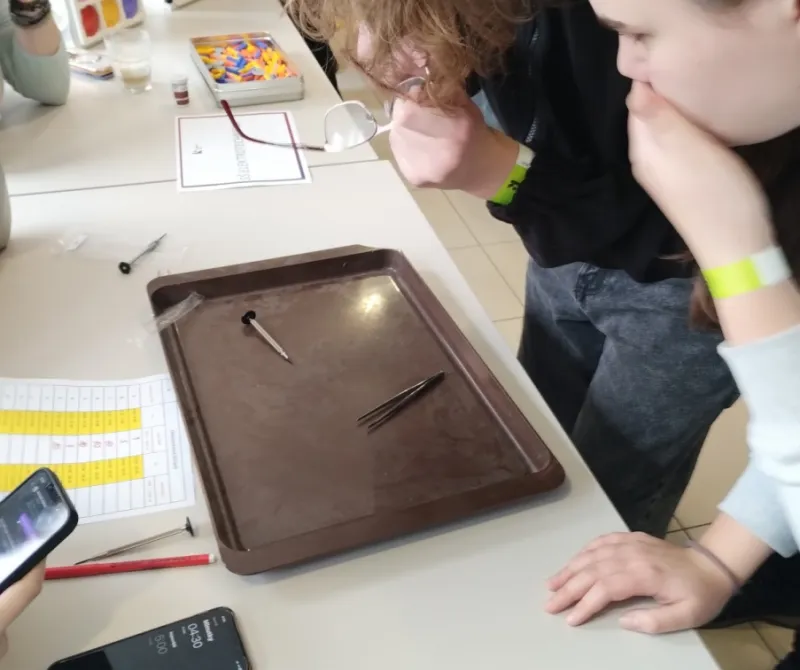 IMG_20250226_092639831