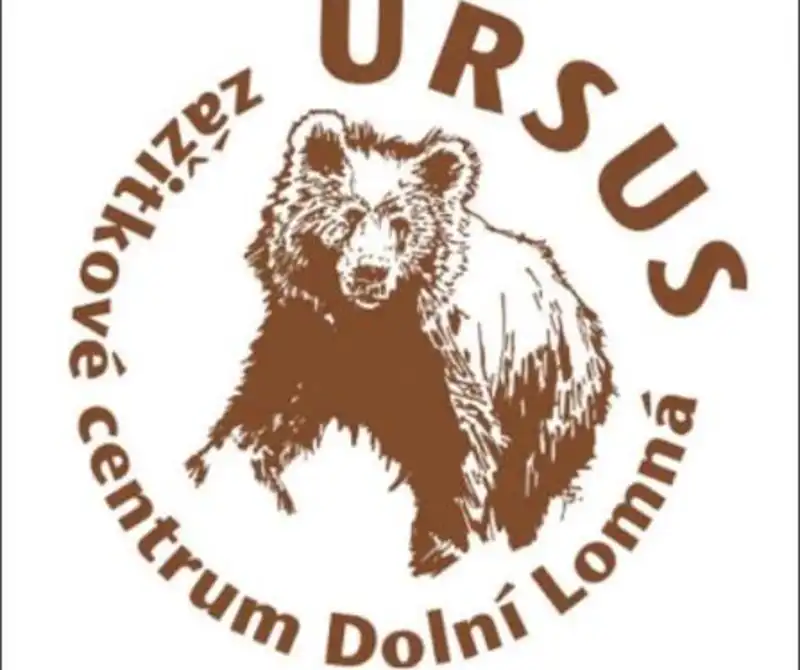 Ursus