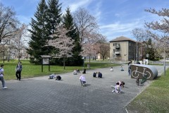 IMG_6322