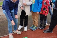 12f97233-f65c-40a0-bdfc-b2d3614f878c