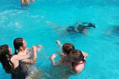 IMG-20210629-WA0001